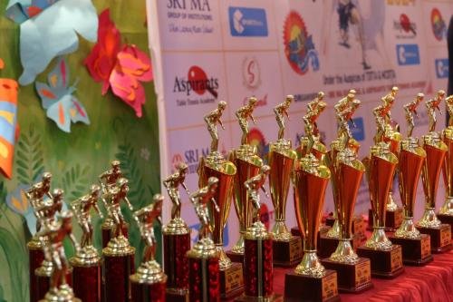 table tennis organiser